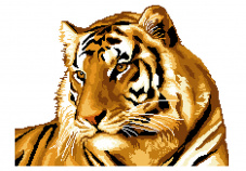 Тигр Нитекс 2151